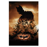 Umělecký tisk The Dark Knight Trilogy - Bats, 26.7x40 cm