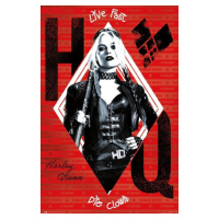 Plakát, Obraz - The Suicide Squad - Harley Quinn, 61x91.5 cm