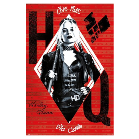 Plakát, Obraz - The Suicide Squad - Harley Quinn, (61 x 91.5 cm) GB Eye