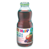 Hipp šípkový čaj+ovocná šťáva Bio 4/6m 500ml