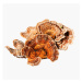 BrainMax Turkey Tail (Coriolus) extrakt, 50% koncentrace polysacharidů a 20 % β-1,3/1,6 D-glukan