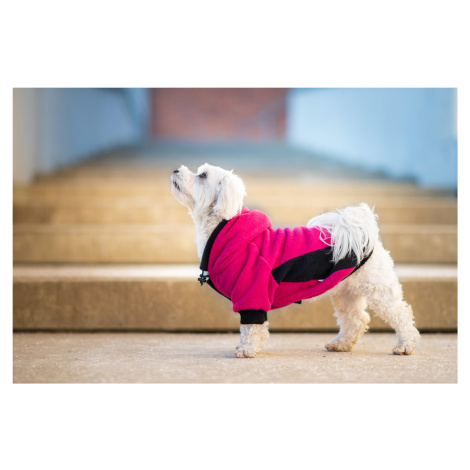 Vsepropejska Cool fleecová mikina pro psa s kapsičkou Barva: Růžovo-černá, Délka zad (cm): 33, O