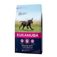 Eukanuba Dog Puppy&Junior Large 15kg sleva