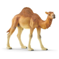 Schleich 14832 Wild Life Dromedary