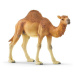 Schleich 14832 Wild Life Dromedary