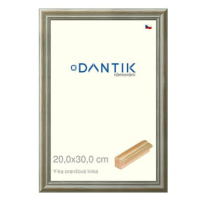 DANTIK rámeček 20 × 30, Y-ka oranžový linka sklo čiré