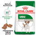 Royal Canin Mini Adult - granule pro dospělé malé psy - 800g