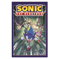 Ježko Sonic 4: Nákaza - Ian Flynn - kniha z kategorie Komiksy