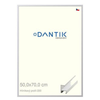 DANTIK rámeček 50 × 70, ALU profil 6220 Bílý matný plexi čiré