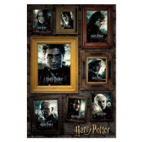Plakát, Obraz - Harry Potter - Portrét, (61 x 91.5 cm)