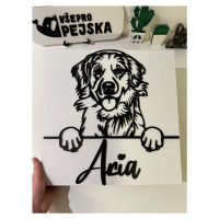 Vsepropejska Labrador dřevěná dekorace na zeď Rozměr (cm): 38 x 28