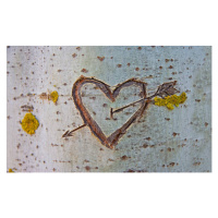 Fotografie Birch tree with carved heart, WHPics, 40 × 26.7 cm