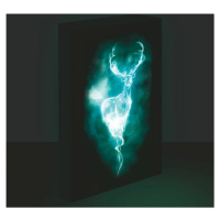 Harry Potter obraz LED svítící 30x40 cm - Patron - EPEE