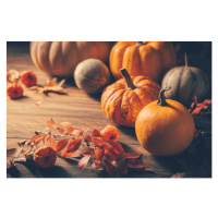 Fotografie Pumpkins for Thanksgiving on wooden background, brebca, 40x26.7 cm