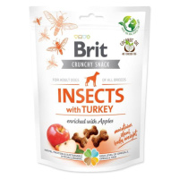 Pochoutka Brit Care Dog Crunchy Cracker Insocts, krůta s jablky 200g