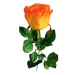 Umělá růže, oranžová, 69 cm