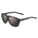 BOLLÉ Arcadia Tortoise Matte Brown Polarized BS037003