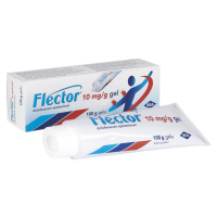 FLECTOR Gel dermální gel 100 g