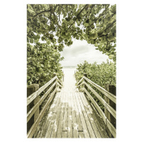 Fotografie Bridge to the beach with mangroves | Vintage, Melanie Viola, 26.7 × 40 cm