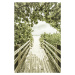 Fotografie Bridge to the beach with mangroves | Vintage, Melanie Viola, 26.7 × 40 cm