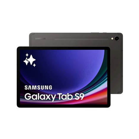 Samsung Galaxy Tab S9 Wifi 8GB/128GB grafitová