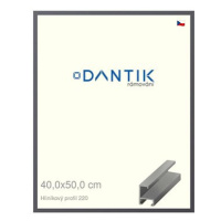 DANTIK rámeček 40 × 50, ALU profil 6220 Ocelový sklo čiré