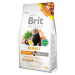 Brit Animals Ferret - fretky 700g