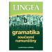 Gramatika současné rumunštiny s praktickými příklady