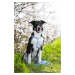 Vsepropejska Zandor postroj pro psa s vodítkem | 33 – 57 cm Barva: Modrá, Obvod hrudníku: 33 - 4