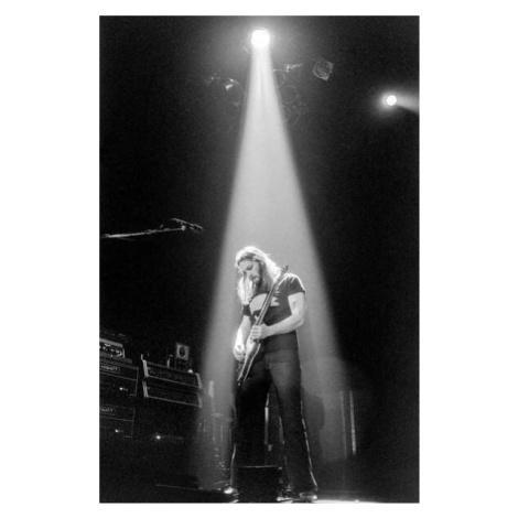 Plakát, Obraz - Pink Floyd, 1977, 26.7 × 40 cm