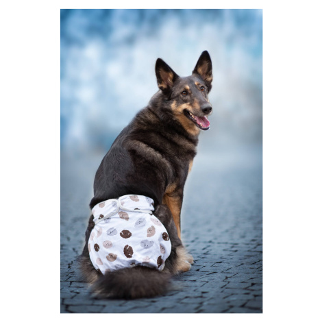 Lama hárací kalhotky pro psa Barva: Béžová, Obvod slabin (cm): 26 - 32