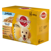 Pedigree Kapsičky pro psy JUNIOR v želé 12 x 100 g