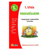 1. třída - Procvičujeme - český jazyk - matematika - prvouka (Defekt)