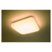 LED Stropní svítidlo Philips Mauve 31110/31/P0 2700K