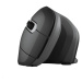 TRUST ergonomická vertikální myš Verro Wireless Ergonomic Mouse, black