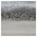 Flair Rugs koberce Kusový koberec Pearl Grey Rozměry koberců: 120x170