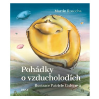 Pohádky o vzducholodích - Martin Rosocha