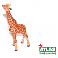 Atlas D Žirafa 17 cm