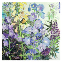 Obrazová reprodukce Delphiniums and Foxgloves, Claire Spencer, 40 × 40 cm