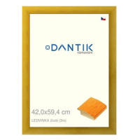 DANTIK rámeček 42 × 59,4, LEDVINKA žlutý plexi čiré