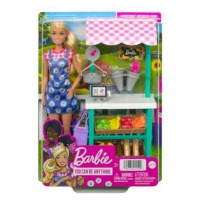 Barbie® FARMÁŘSKÝ STÁNEK S PANENKOU