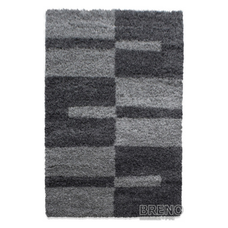 Chlupatý kusový koberec Gala Shaggy 2505 Grey | šedý Typ: 80x250 cm