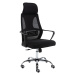 Topeshop Kancelářská židle NIGEL černá