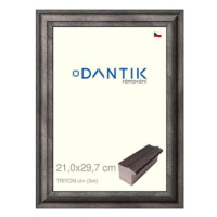 DANTIK rámeček 21 × 29,7, TRITON cín sklo čiré