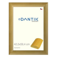 DANTIK rámeček 42 × 59,4, RENÉ přírodní plexi čiré