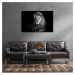 Impresi Obraz Lev černobílý - 60 x 40 cm