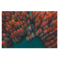 Fotografie Autumn trees and green lake, FanPro, (40 x 26.7 cm)