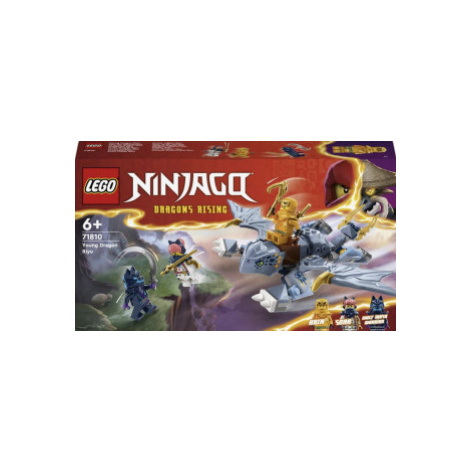 Dračí mládě Riyu - Ninjago (71810) LEGO