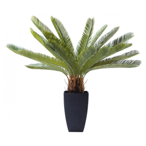 KARE Design Dekorativní rostlina Cycas Tree 78 cm