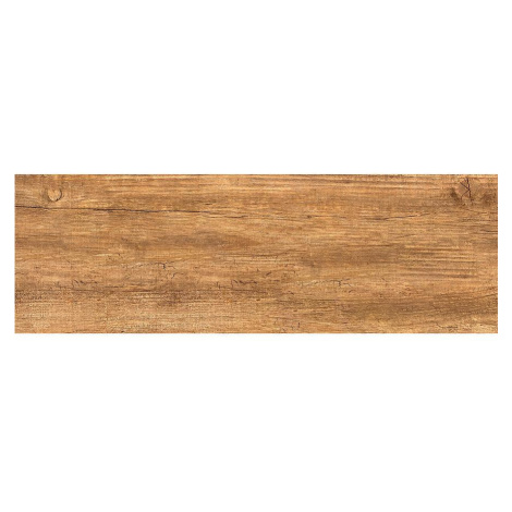 Dlažba Lemos Brown 20/60 AQUA MERCADO